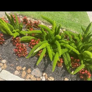 Meet your Posher, Hilmarie